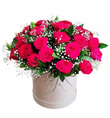 Silindir Kutuda Explorer Roses Güller 